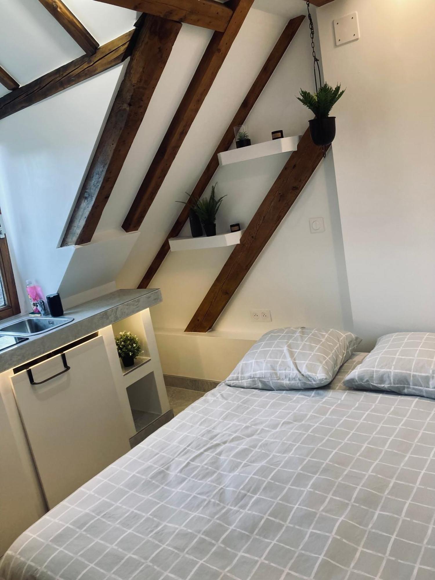 Petit Nid Sympa A Strasbourg Apartment ภายนอก รูปภาพ